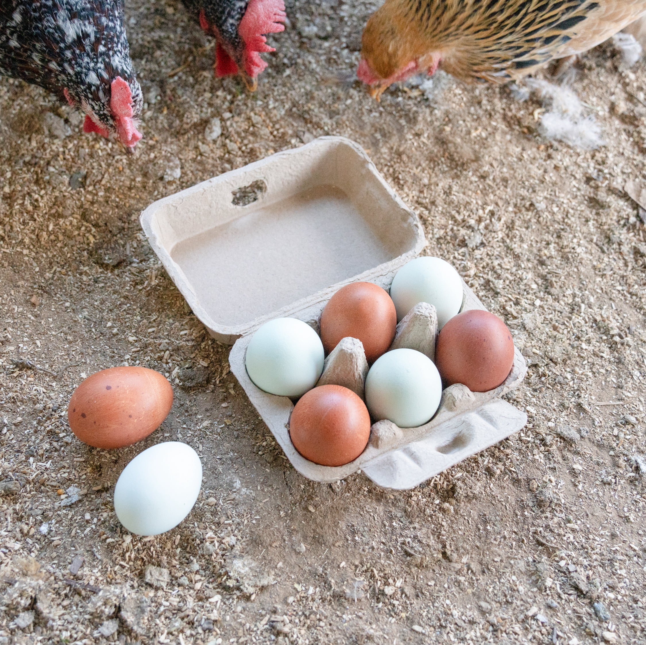 Hearty Produce Half Dozen Egg Cartons "Fresh Eggs" (30-Pack) | 2x3 Style | Biodegradable & Recycled Pulp | Perfect for Small Family-owned Farm