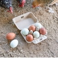 thumbnail image 6 of Hearty Produce Half Dozen Egg Cartons Brown (30-Pack) | 2x3 Style | Biodegradable & Recycled Pulp | Perfect for Small Family-owned Farm, 6 of 7