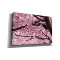 thumbnail image 2 of Cortesi Home 'Cherry Blossom Trees' by Nicklas Gustafsson Canvas Wall Art, 60"x40", 2 of 2