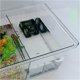 thumbnail image 3 of Tanque de alimentación de tortuga con partición de cinta transparente, sala de estar pequeña for el hogar, 3 of 4