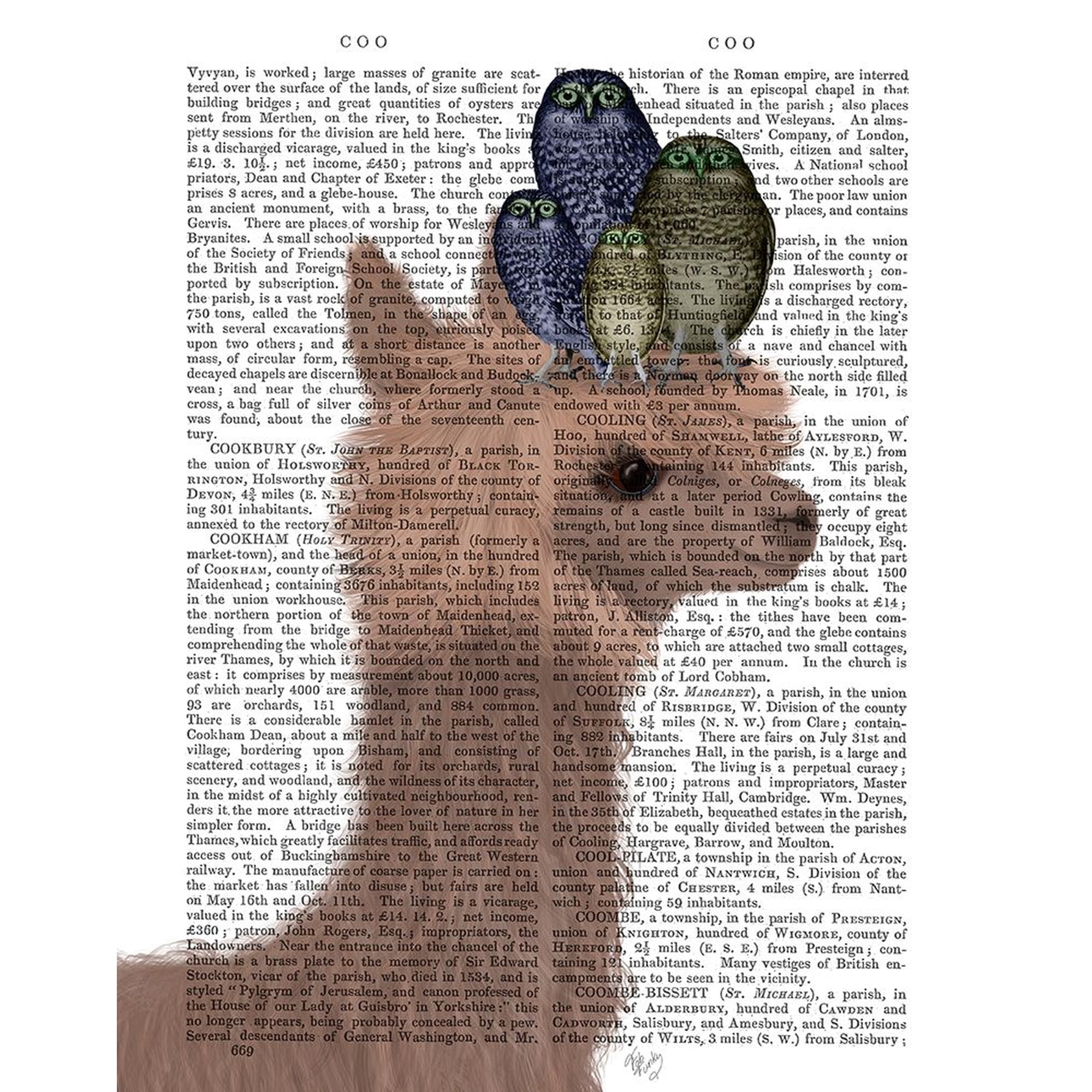 Llama Owls Portrait Book Print Poster Print - Funky Fab (24 x 36)