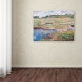 thumbnail image 3 of Childe Hassam 'The Concord Meadow' Canvas Art, 3 of 3