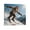 Frame-style, variant on Monkey Skiing (2) Picture Print Wall Art Poster Painting Canvas Posters Artworks Gift Room Aesthetic 20x20inch(50x50cm)