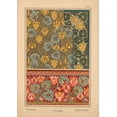 thumbnail image 2 of Vintage Apple Collection 14x18 Black Ornate Wood Framed with Double Matting Museum Art Print Titled -  Plate 24 - Cyclamen, 2 of 4