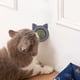 thumbnail image 4 of 3 piezas de pelota de hierba gatera orgánica para gatos, juguete de hierba gatera, juguete interactivo para gatos, 4 of 5