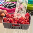 thumbnail image 3 of Hutzler 3-in-1 Bitty Box Berry Keeper, Berry Colander & Saver Container, 9oz / 1 Cup Capacity - Purple, 3 of 4