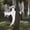 Smile, variant on Joyfy 2 Pcs 53" Halloween Bendable Tree Wrap Ghost for Halloween Decoration Outdoor, Lawn, Tree, Pilar Decorations