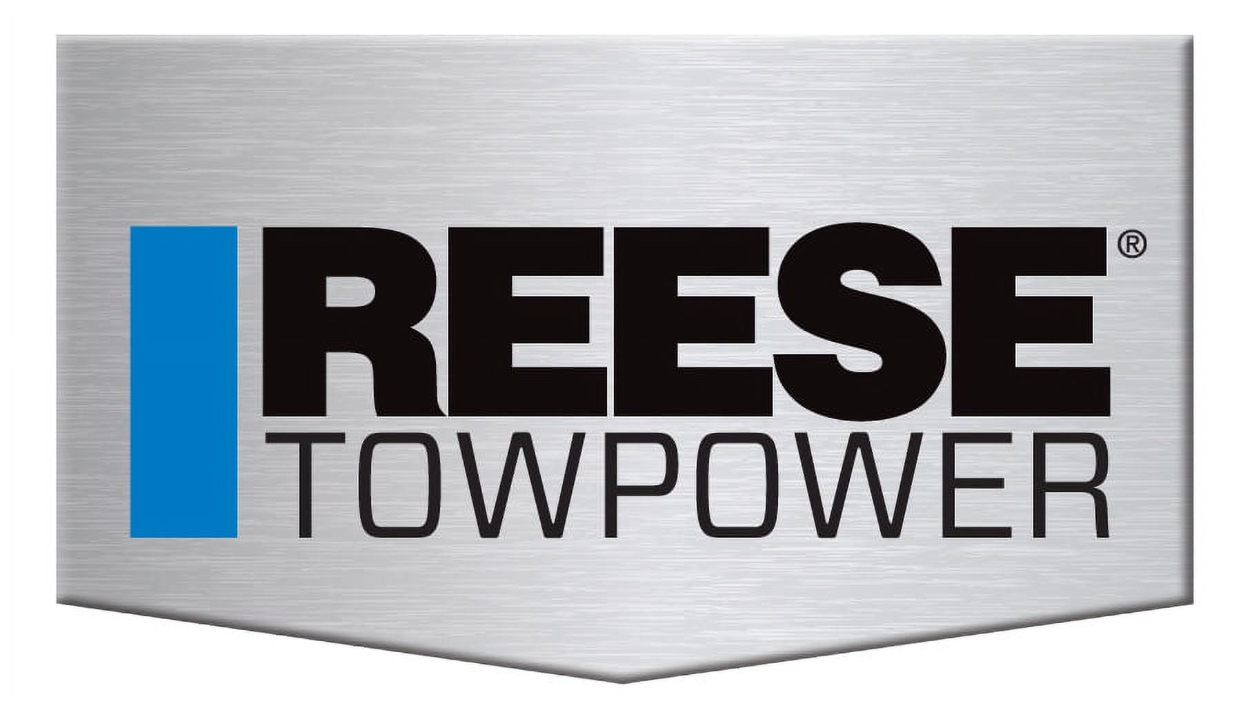 REESE Trailer Hitch Ball Mount Security Kit, Fits 2 In. Receiver, 2 In. Drop, 7,500 lbs. Capacity, Includes 2 In. Trailer Hitch Ball and Dogbone Receiver Lock, 2165060
