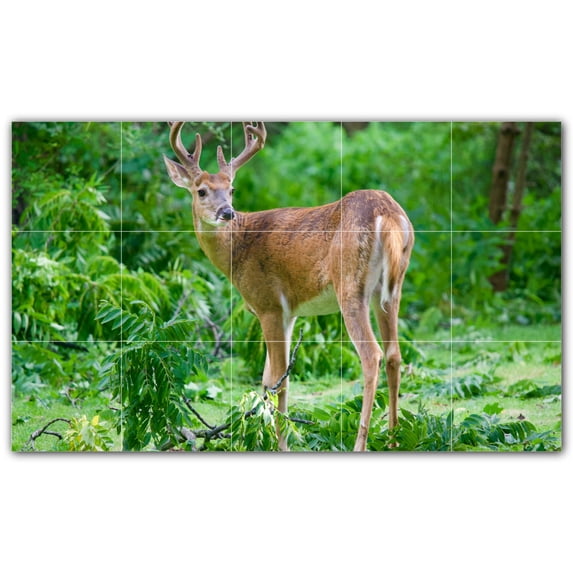 Picture-Tiles.com: Deer Ceramic Tile Wall Mural WAL500439-53M. 30"W x 18"H using (15) 6" x 6" Ceramic Tiles-Satin Finish
