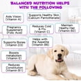 thumbnail image 4 of 15-in-1 Multivitamin for Dogs – 60 ML Dog Vitamins & Supplement, 4 of 10