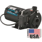 WAYNE CWS75 3/4 HP Convertible Jet Well Pump