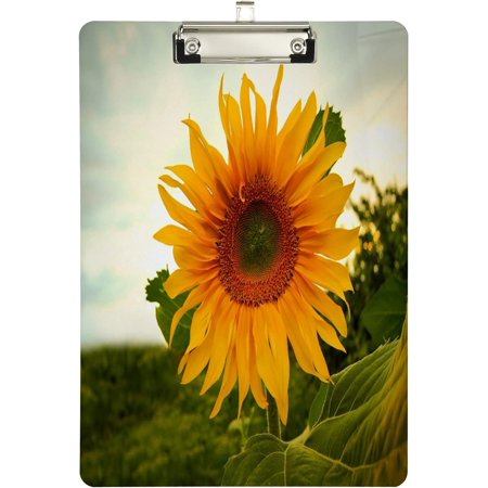 Wellsay Sunflowers Nature Clipboard Clipboard with Low Profile Silver Clip Decorative Clipboard for School, Office, Nurse, Art, Business,9x12.5in