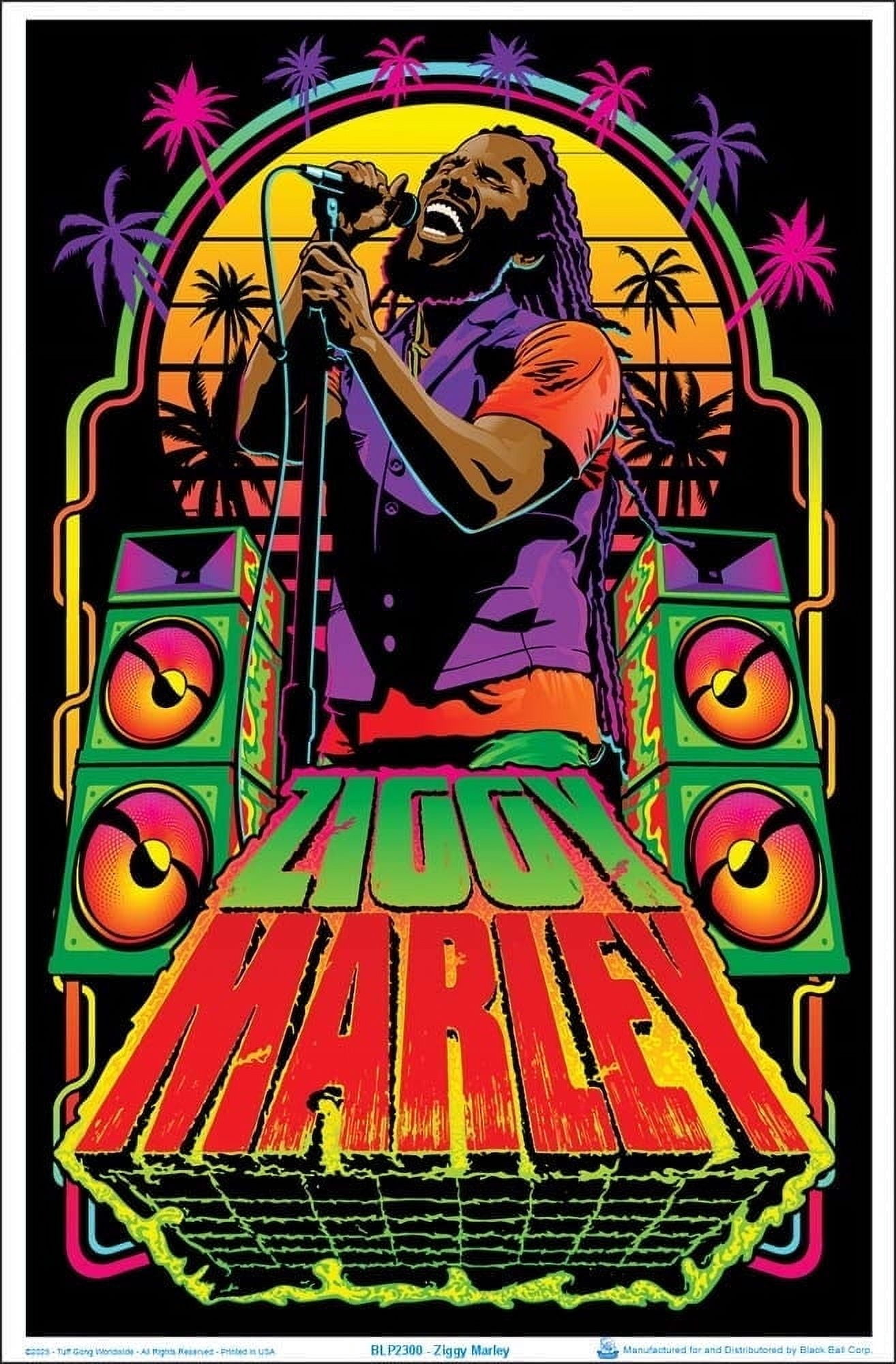 Rock N Roll Forever Blacklight Poster – 23 X 35 Inches, Vintage Style, Multi-Color