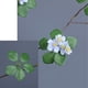 thumbnail image 3 of Decoración de flores artificiales, tallos de flores artificiales, tallos de flores artificiales falsos, flores artificiales muy versátiles, 3 of 9