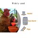 thumbnail image 5 of (Paquete de 5) ndes automáticos para pollos - Comedero de agua para pollos Adecuado para pollitos, patos, gansos, pavos y conejos - Kit de comedero de agua para aves de corral (naranja) ShuxiuWang 1327537083696, 5 of 5