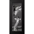 thumbnail image 2 of Delimont, Danita 9x18 Black Modern Framed Museum Art Print Titled - Masai Mara Giraffes, 2 of 5