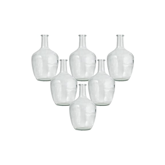 Serene Spaces Living 10" Clear Glass Bottle Vase, Pack of 6