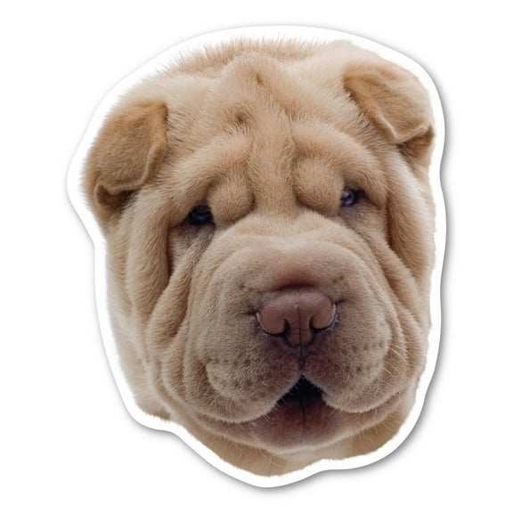 Chinese Shar-Pei Dog Magnet
