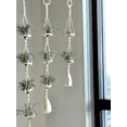 thumbnail image 2 of Wall Hanging Macrame Plant Basket for Air Plants Cotton Rope Handcrafted Boho Decor for Home Room Balcony Decoration, 2 of 6