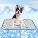thumbnail image 1 of Upgrade Self-Cooling Mat for Dogs Extra Large, 44'' x 32'' - Endothermic Color Changing Arc-Chill Cooling Fiber - Washable Non-Toxic Summer Pet Outdoor Bed, Non-Slip&Foldable, 1 of 5