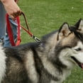 thumbnail image 2 of Labymos Dog Leash Highly Reflective Heavy Duty Elastic Bungee Medium and Large Dog Leash Shock, 2 of 8