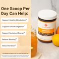 thumbnail image 3 of ACTIVATEDYOU Morning Complete Daily Wellness Greens Superfood Drink Mix para la salud intestinal con prebióticos, probióticos, antioxidantes, superalimentos verdes, 10 mil millones de UFC, 30 porcione, 3 of 5