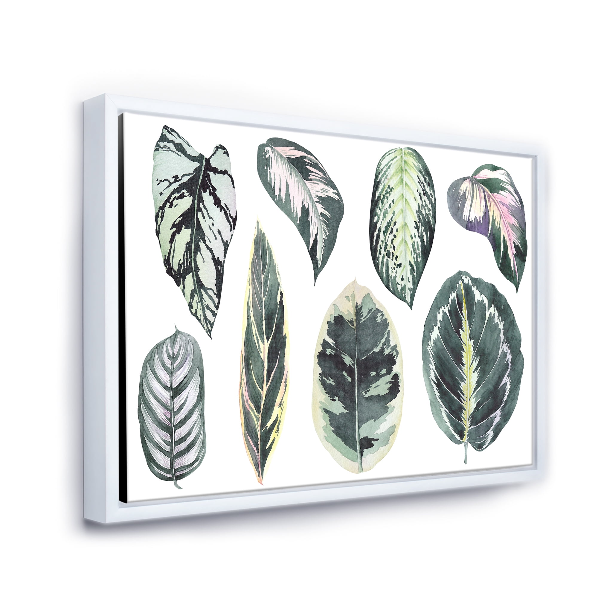 Designart 'Tropical Calathea Leaves On White' Bohemian & Eclectic Framed Canvas Wall Art Print