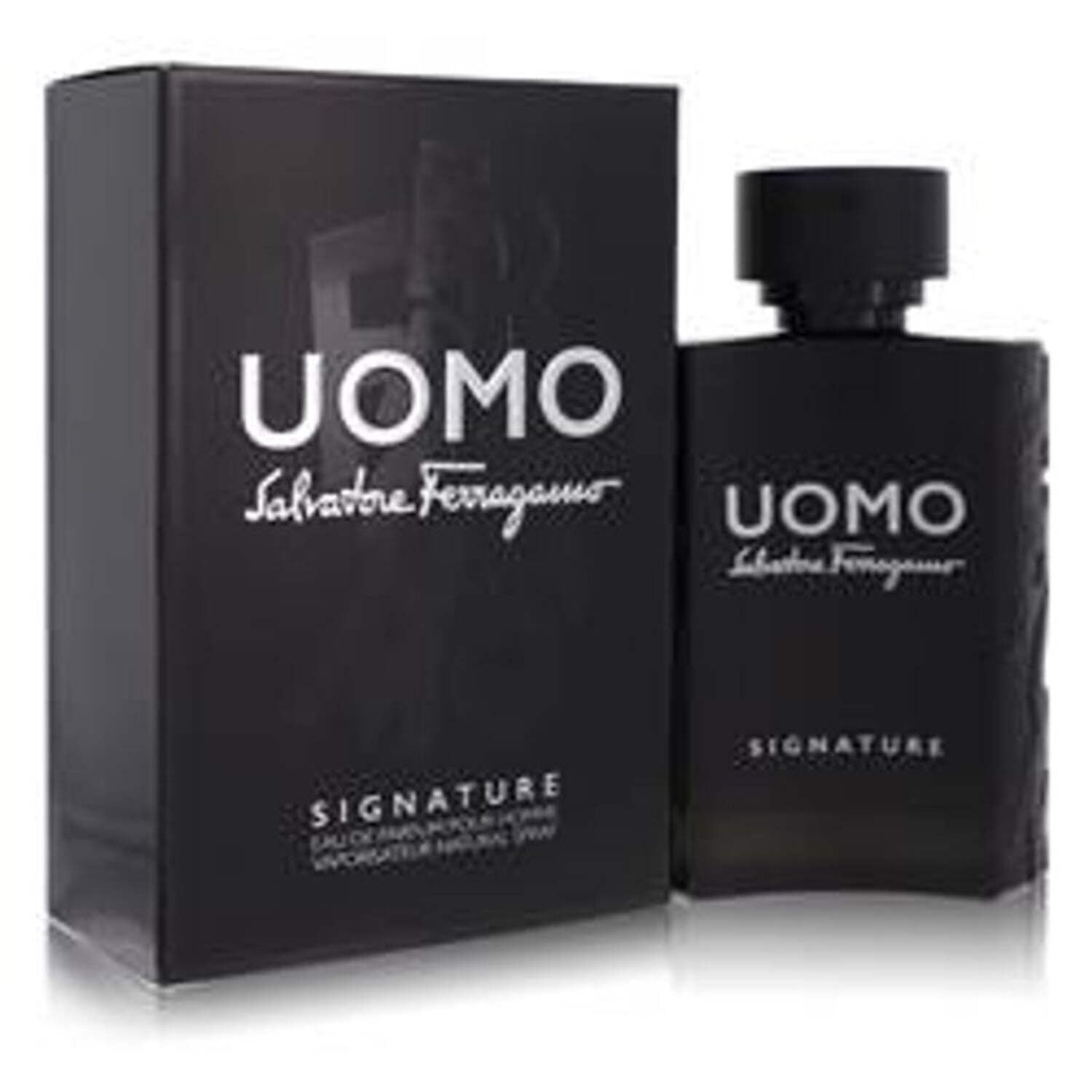 Salvatore Ferragamo Uomo ウオモ　100ml Salvatore Ferragamo Uomo Salvatore Ferragamo / S. Ferragamo