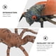 thumbnail image 3 of 2 conjuntos de modelos de círculo de cultivo de insectos de imitación para niños cognición para niños, 3 of 6