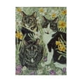 thumbnail image 1 of Trademark Fine Art 'The Trio' Canvas Art by Jan Benz, 1 of 3