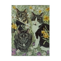 Trademark Fine Art 'The Trio' Canvas Art by Jan Benz