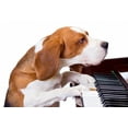 thumbnail image 2 of Dog Playing Piano Wall Mural by Wallmonkeys Peel and Stick Graphic (48 in W x 33 in H) WM298676, 2 of 4