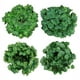 thumbnail image 3 of Enredadera de hojas de uva de imitación, geco de ratán, planta de hojas de imitación de plástico, hoja de rosa verde, flor artificial, enredadera decorativa, 3 of 5