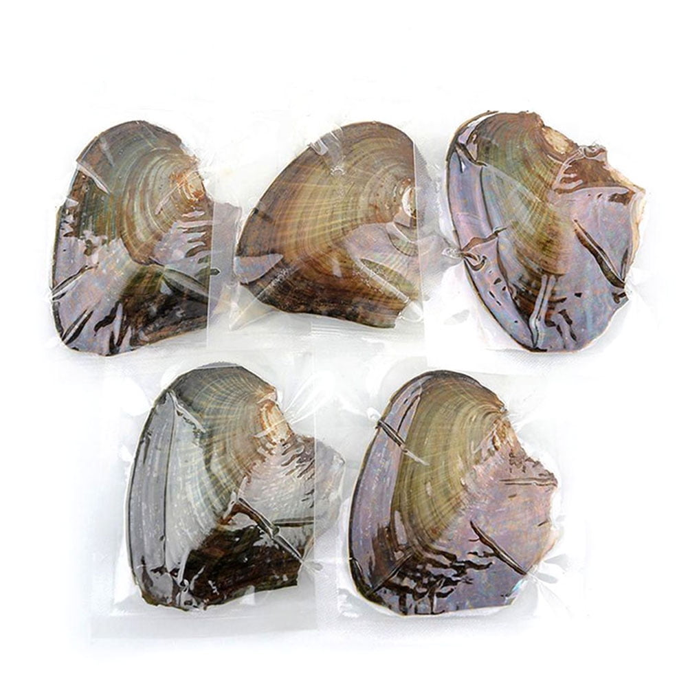 10 Individually Akoya Oysters With Pearls Inside Freshwater Birthday Gift 8mm 
