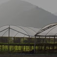 thumbnail image 3 of Lona Transparente Impermeable Ygjytge 3x4m para Patio Balcón Jardín, 3 of 9