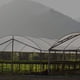 thumbnail image 1 of Refugio de suculentas de bonsái impermeable de película de lona impermeable espesada transparente de PE Likrtyny 4bq1cb1ps0bc2tg2, 1 of 9