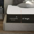 Cocoon by Sealy 12” Medium Hybrid Mattress in a Box, Adult, Queen