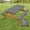 Black, variant on Picnic Table Cover with Bench Covers and Bag, Yellow White Checkered Gingham Buffalo Plaid Camping Tablecloth Waterproof Windproof Elastic Edges Fitted Tablecloths for Outdoor Garden 3PCS 30x72 Inch