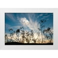 thumbnail image 3 of Erin Berzel 14x11 White Modern Wood Framed Wall Art Titled - Sunset Silhouette I, 3 of 5