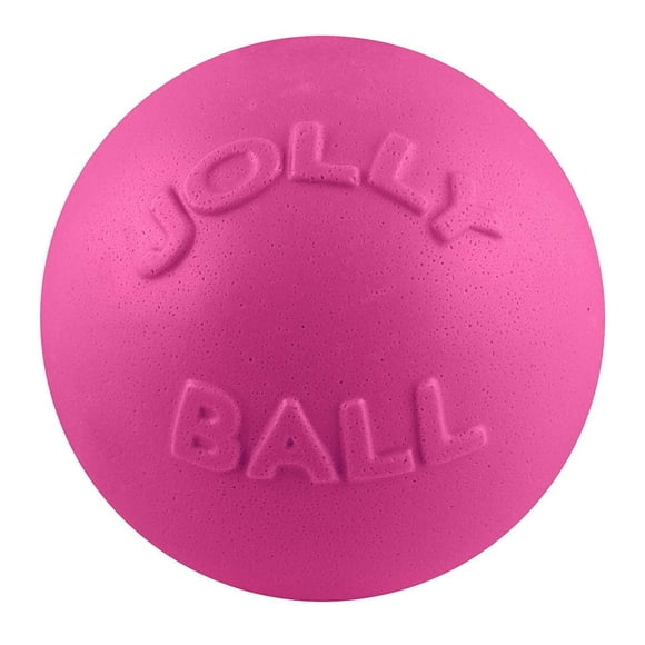 Pelota de juguete para perros Jolly Pets Bounce-n-Play, 15 cm, rosa, tamaño mediano