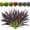 DeepPurpleGreen, variant on 8 Pcs Outdoor Fake Plants UV Resistant Artificial Tall Grass Plants Faux Tropical Flowers Bushes Décor Fall Winter Summer