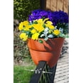 thumbnail image 3 of Bloomers Railing Planter with Drainage Holes – 24" Weatherproof Resin Planter - Terracotta, 3 of 10