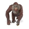thumbnail image 1 of Safari Ltd Wildlife Macho Orangután Figura de juguete realista pintada a mano Modelo Construcción de calidad con materiales libres de plomo ftalato y BPA para edades de 3 años en adelante Safari Ltd. 95866292904, 1 of 1
