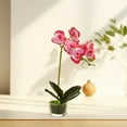 thumbnail image 4 of Glass Vase Artificial Orchid Bonsai - Phalaenopsis Flower Pot Arrangement For Home Table Centerpieces And Room Decor, 4 of 5