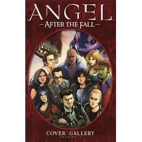 Angel: After the Fall Cover Gallery #1 VF ; IDW Comic Book
