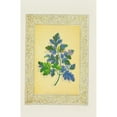 thumbnail image 3 of John H. Ingram 13x18 Black Modern Framed Museum Art Print Titled - Leaves from the Way Side (1869), 3 of 5