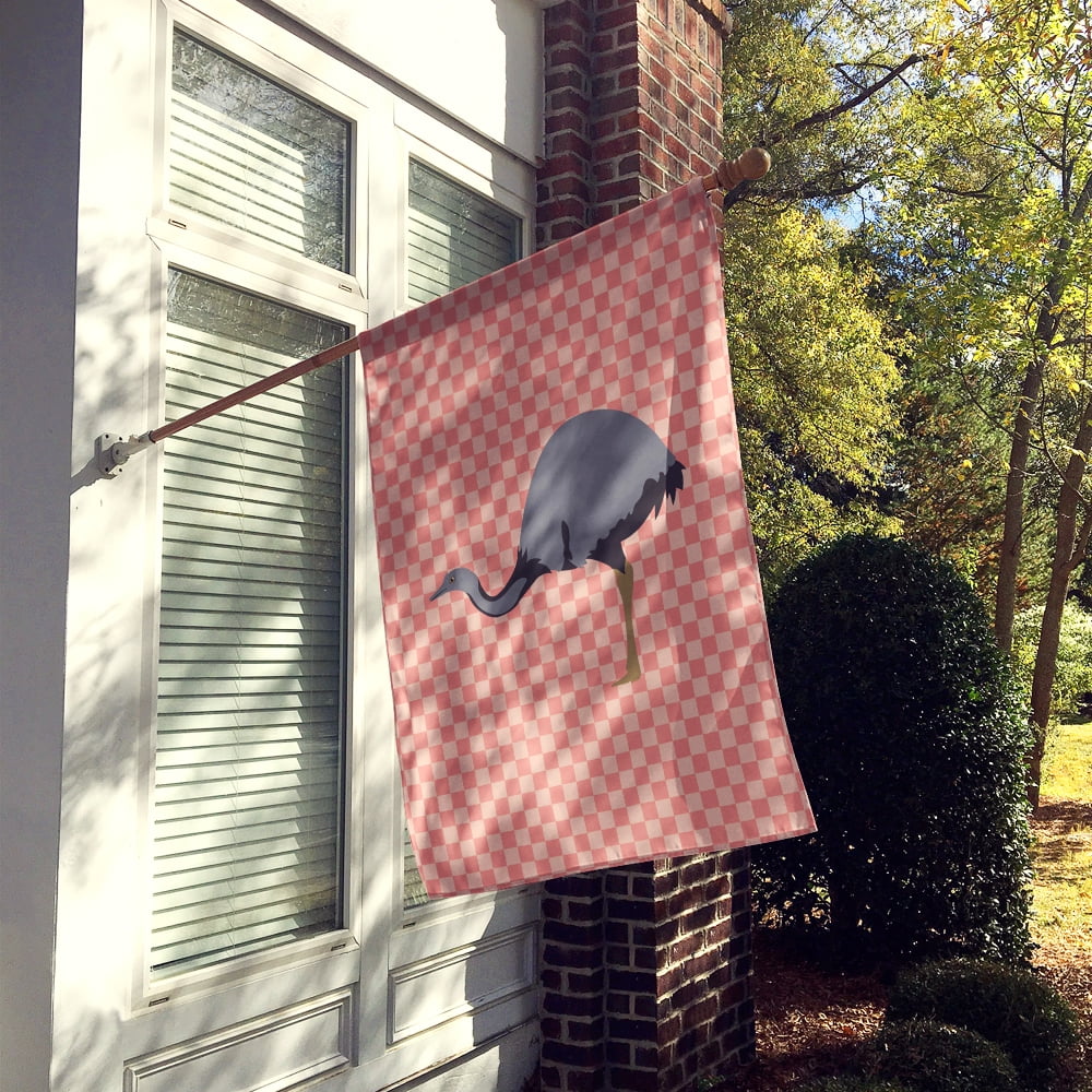 Carolines Treasures BB7923CHF Rhea Pink Check Canvas House Flag