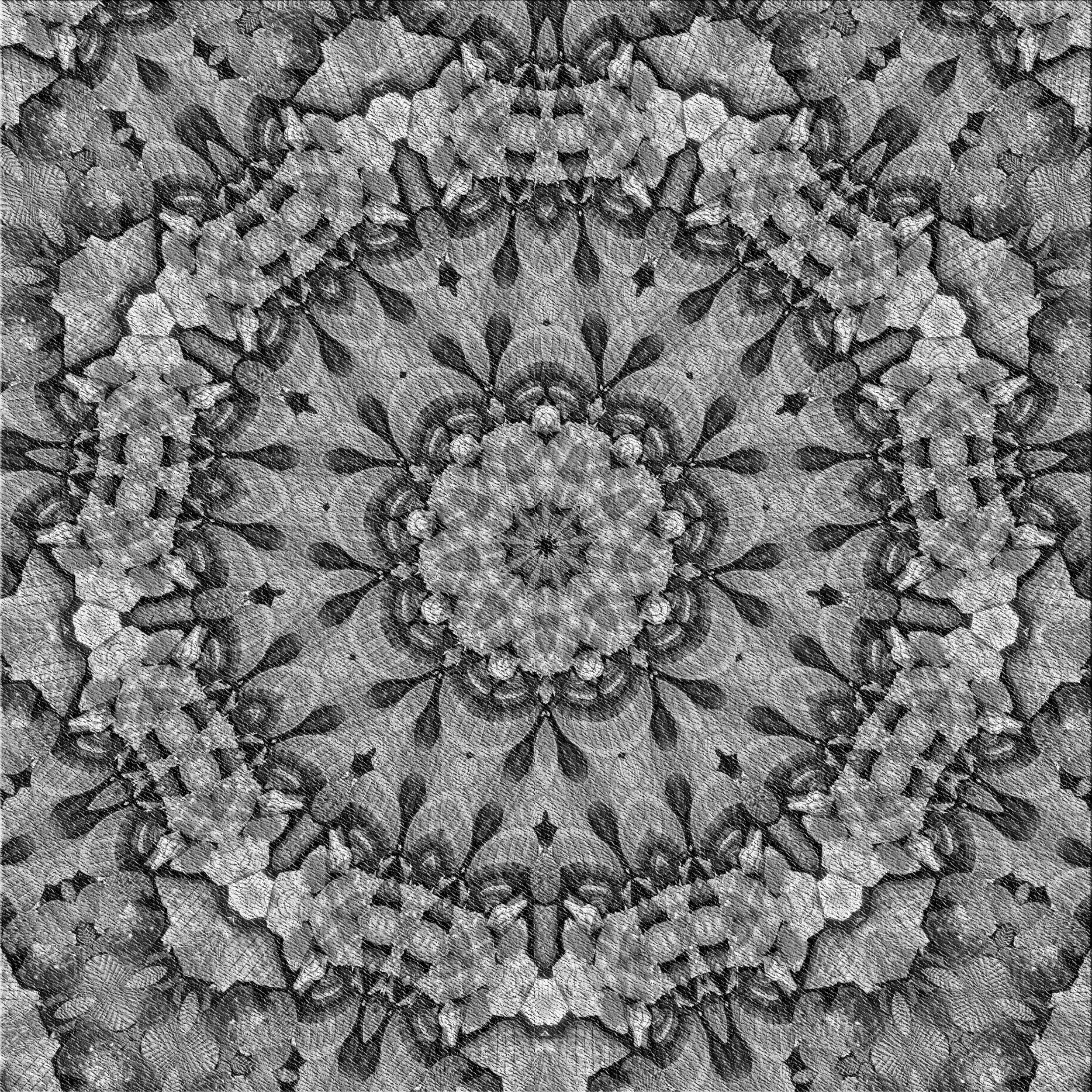 Ahgly Company Machine Washable Indoor Square Transitional Black Area