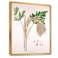 thumbnail image 3 of Designart 'Ancient Plant Life XV' Farmhouse Framed Canvas Wall Art Print, 3 of 5