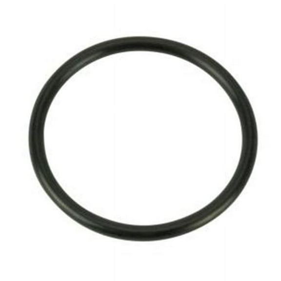 ALA-PT The O-Ring 1.38 in. OD